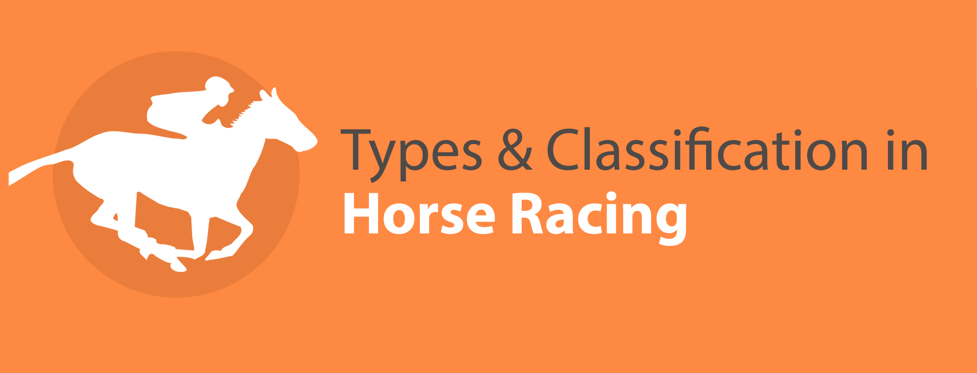 Types & Classification in Horse Racing